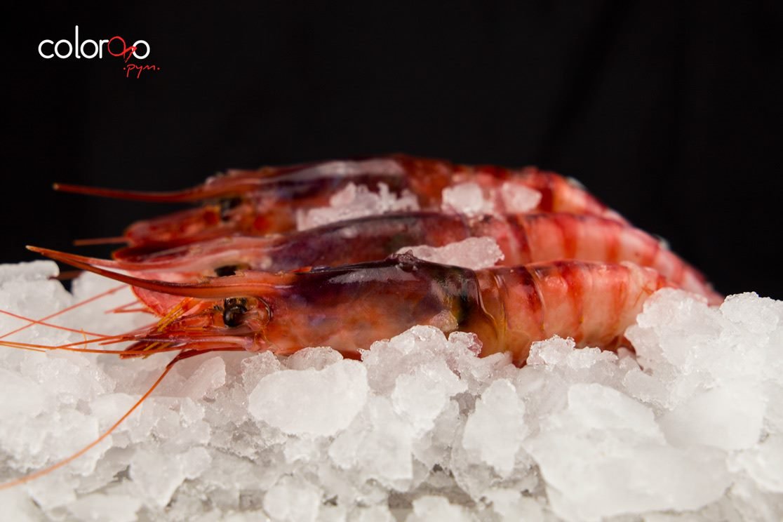 Colorao PYM: Exquisite Seafood from Isla Cristina